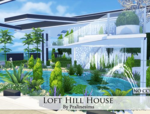 Loft Hill House