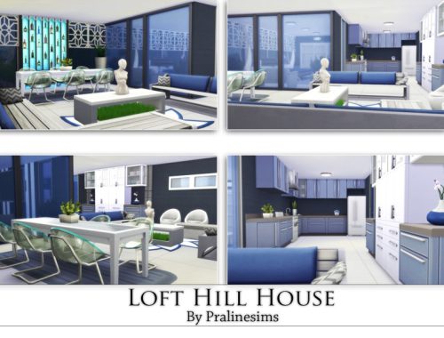 Loft Hill House