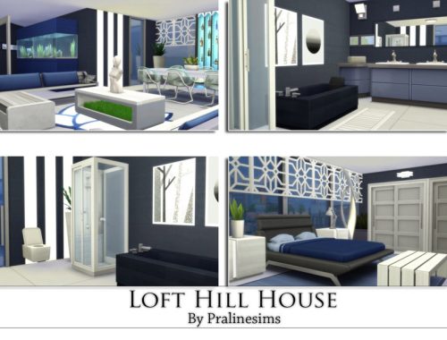 Loft Hill House