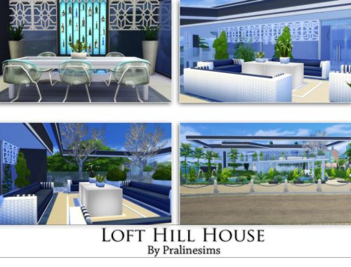 Loft Hill House