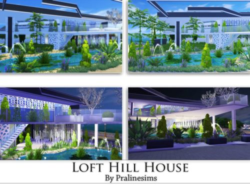 Loft Hill House