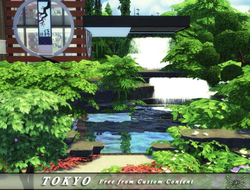 TOKYO Restaurant - No CC.