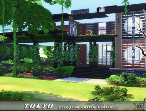 TOKYO Restaurant - No CC.
