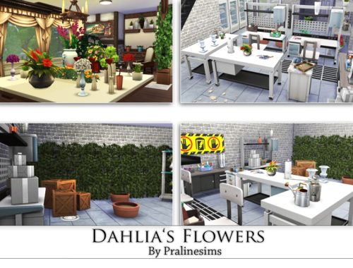 Dahlia's Flowers-Shop