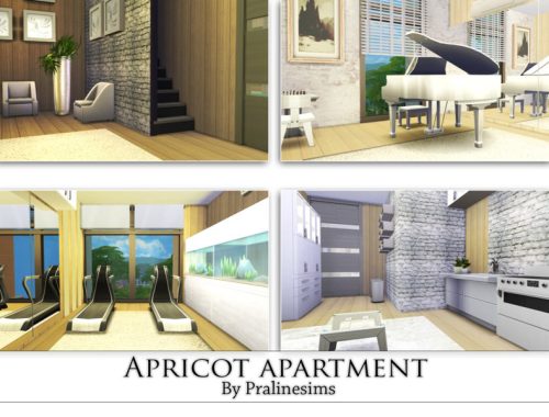 Apricot Apartment