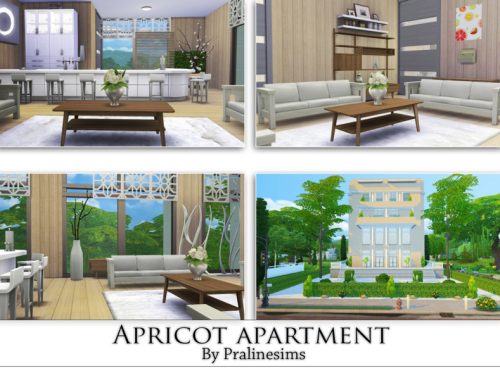 Apricot Apartment
