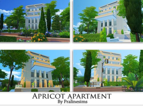 Apricot Apartment