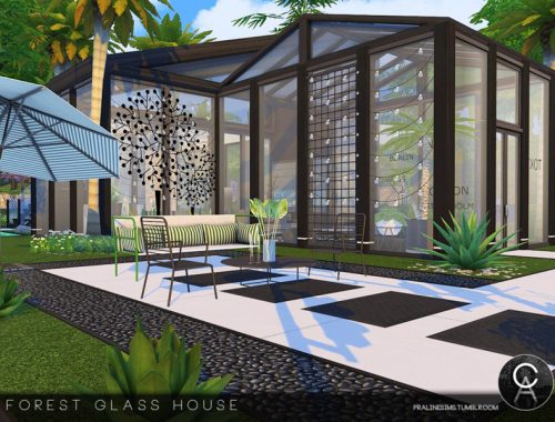Forest Glass House