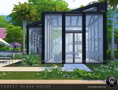 Forest Glass House