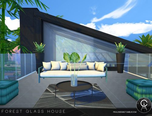 Forest Glass House