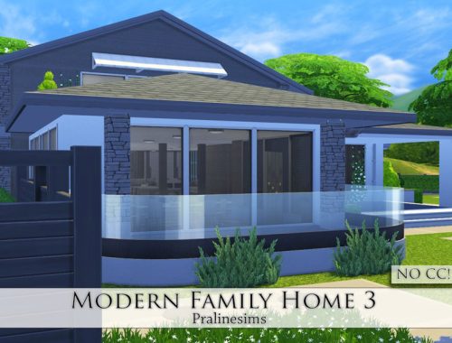 Modern Family Home 3
