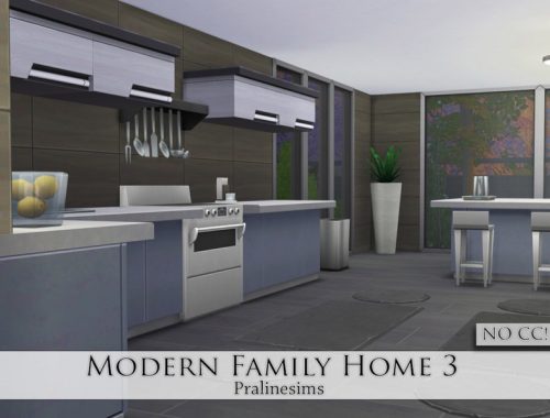 Modern Family Home 3