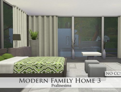 Modern Family Home 3