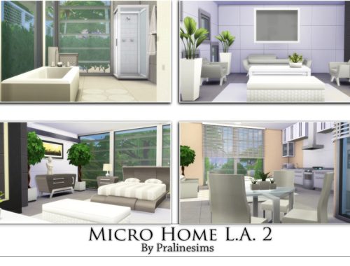 Micro Home L.A. 2