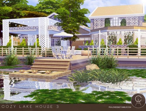 Cozy Lake House 3