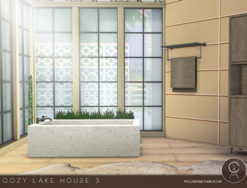 Cozy Lake House 3