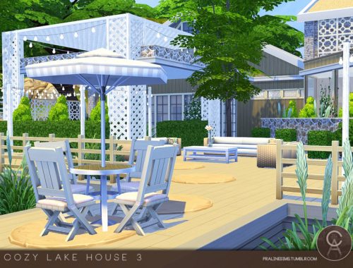 Cozy Lake House 3