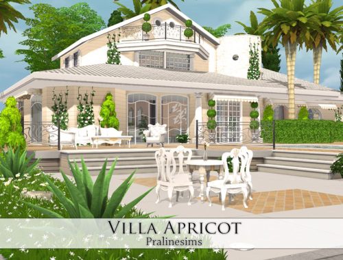 Villa Apricot