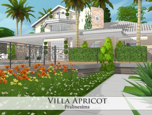 Villa Apricot
