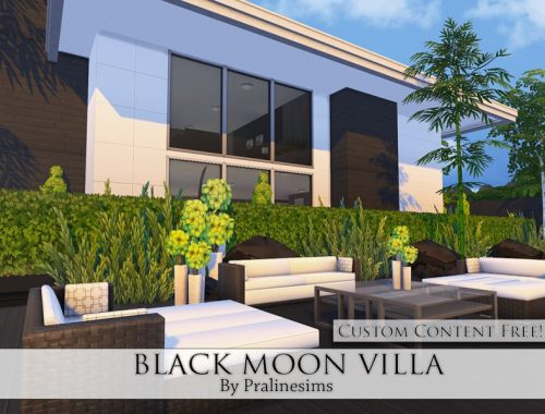 Black Moon Villa