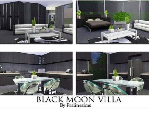 Black Moon Villa