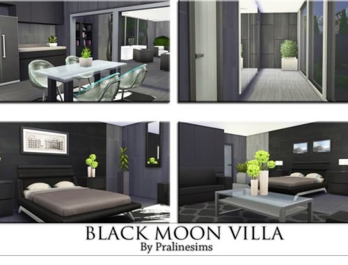 Black Moon Villa