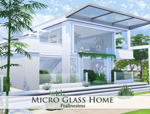 Micro Glass Home