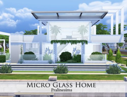 Micro Glass Home