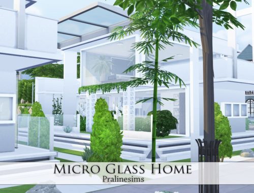 Micro Glass Home