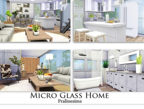 Micro Glass Home