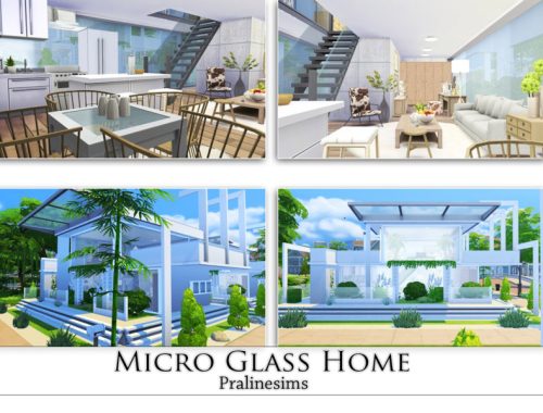 Micro Glass Home