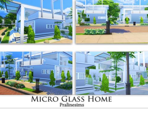 Micro Glass Home