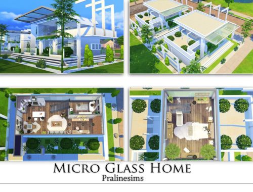 Micro Glass Home