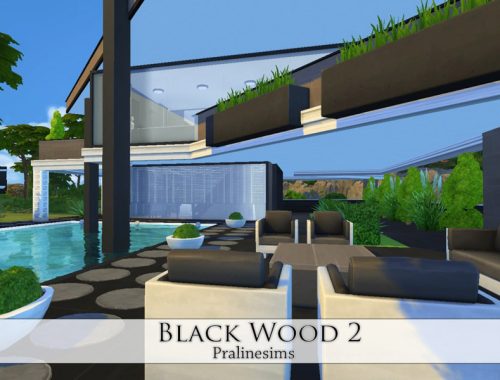 Black Wood 2
