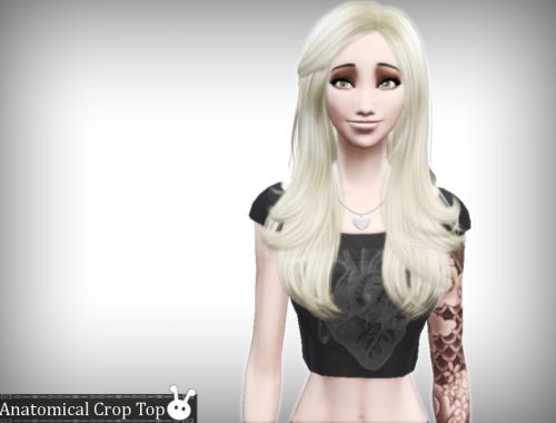 Anatomical Crop Top