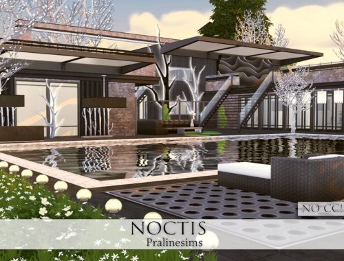 Noctis