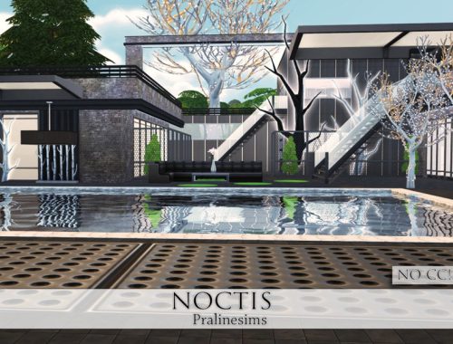 Noctis