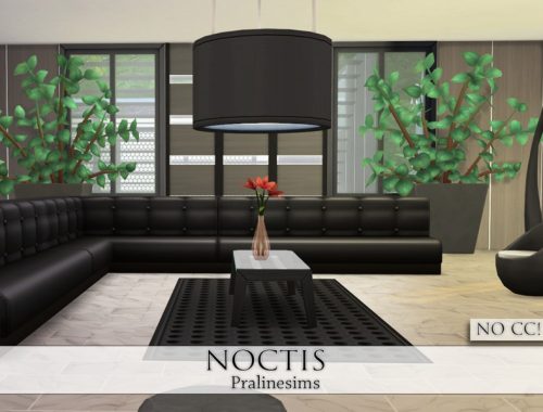 Noctis