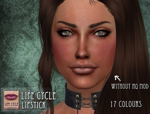 Life cycle Lipstick