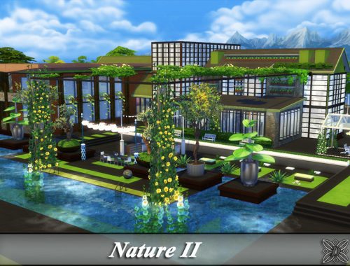 Nature II