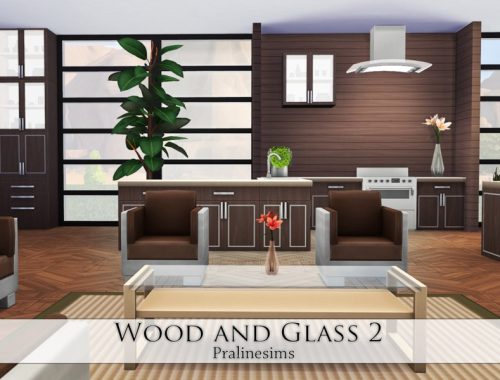 Wood and Glass 2