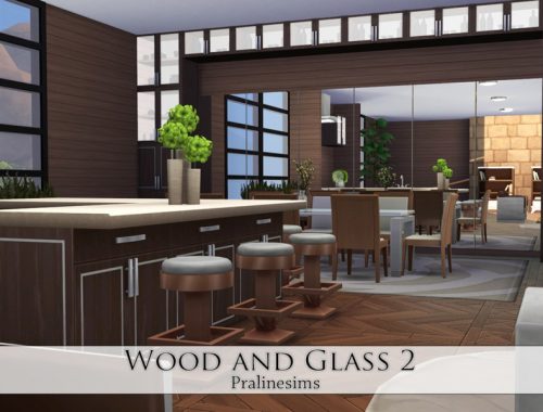 Wood and Glass 2
