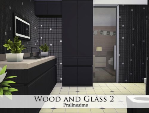 Wood and Glass 2
