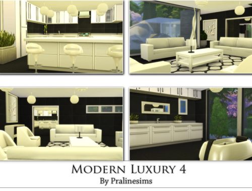 Modern Luxury 4