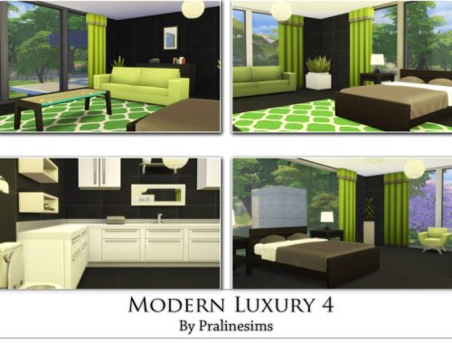 Modern Luxury 4