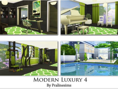 Modern Luxury 4