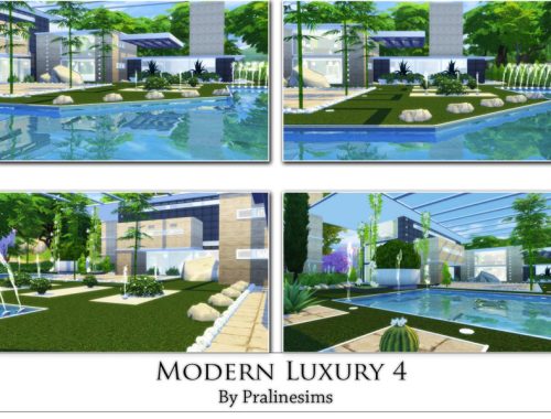 Modern Luxury 4