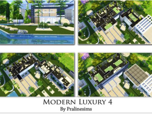 Modern Luxury 4