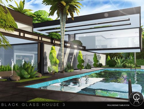 Black Glass House 3