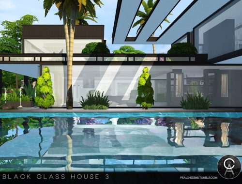 Black Glass House 3